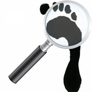 foot-magnify-foot-analysis